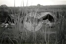 Grupo Projeto Liberdade-Despejo Fazenda Pandeny (São Paulo (Estado), [sem data]) [fotografia] / Fotógrafo(a) : Douglas Mansur. -- Ref.: BR-SPMST_MST-SN-CIN_AMP_001791-012952-VPP.