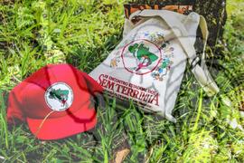 [Título n/d] : lote nº 002, pasta nº 001337, doc. nº 000016 [imagem] / Fotógrafo(a) : [autoria n/d].