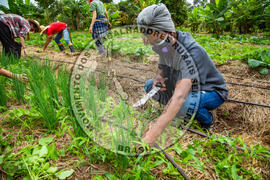 [Título n/d] : lote nº 002, pasta nº 001317, doc. nº 000028 [imagem] / Fotógrafo(a) : [autoria n/d].