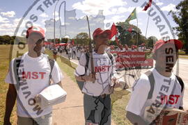 [Título n/d] : lote nº 002, pasta nº 000044, doc. nº 000543 [imagem] / Fotógrafo(a) : [autoria n/d].