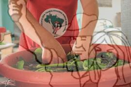 [Título n/d] : lote nº 002, pasta nº 001351, doc. nº 000049 [imagem] / Fotógrafo(a) : [autoria n/d].