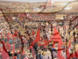 [Título n/d] : lote nº 002, pasta nº 000043, doc. nº 000184 [imagem] / Fotógrafo(a) : [autoria n/d].