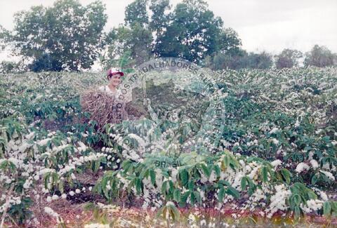 Original Document numérique not accessible