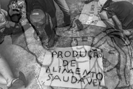 [Título n/d] : lote nº 002, pasta nº 001337, doc. nº 000012 [imagem] / Fotógrafo(a) : [autoria n/d].