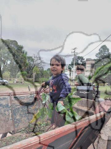 Original Objeto digital not accessible