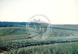 Assentamento "Fazenda Novo Holandês" do MST (Rio Grande do Sul, [sem data]) [fotografia] / Fotógrafo(a) : Bernado Fernandes ; Ernestino. -- Ref.: BR-SPMST_MST-SN-CIN_AMP_000181-001288-ASS.