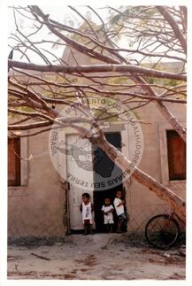 Original Objeto digital not accessible