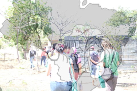 Original Objeto digital not accessible