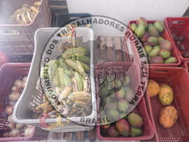 [Título n/d] : lote nº 002, pasta nº 001312, doc. nº 000123 [imagem] / Fotógrafo(a) : [autoria n/d].