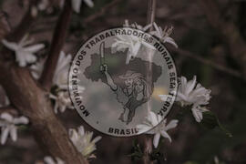 [Título n/d] : lote nº 002, pasta nº 001314, doc. nº 000018 [imagem] / Fotógrafo(a) : [autoria n/d].