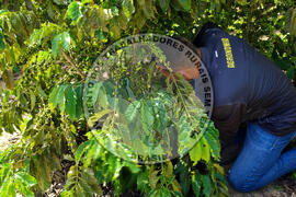 [Título n/d] : lote nº 002, pasta nº 001315, doc. nº 000025 [imagem] / Fotógrafo(a) : [autoria n/d].