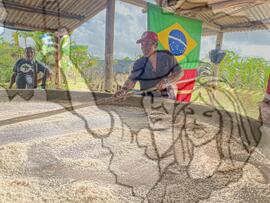 [Título n/d] : lote nº 002, pasta nº 001345, doc. nº 000003 [imagem] / Fotógrafo(a) : [autoria n/d].