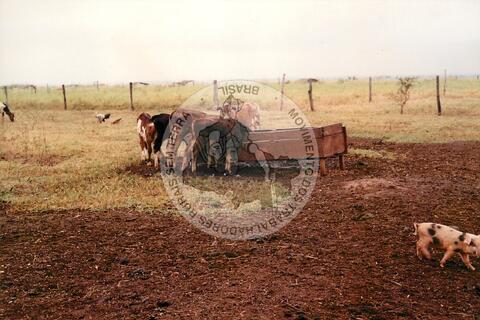 Original Document numérique not accessible