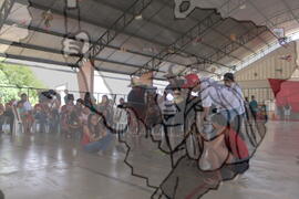 [Título n/d] : lote nº 002, pasta nº 001311, doc. nº 001660 [imagem] / Fotógrafo(a) : [autoria n/d].