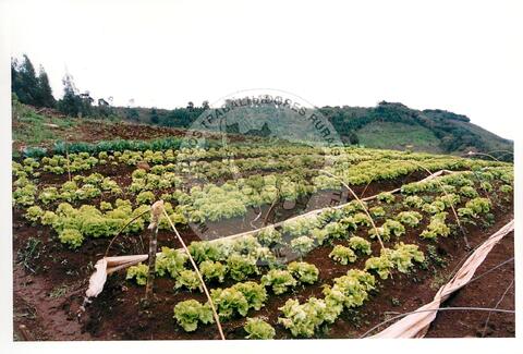 Original Document numérique not accessible