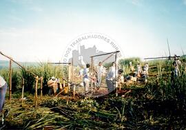 Acampamento " Nova Canudos" do MST (Porto Feliz-SP, 1999) [fotografia] / Fotógrafo(a) : Douglas Mansur. -- Ref.: BR-SPMST_MST-SN-CIN_AMP_000048-000373-ACP.