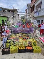 [Título n/d] : lote nº 002, pasta nº 001351, doc. nº 000508 [imagem] / Fotógrafo(a) : [autoria n/d].