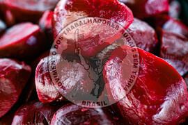 [Título n/d] : lote nº 002, pasta nº 001350, doc. nº 000125 [imagem] / Fotógrafo(a) : [autoria n/d].