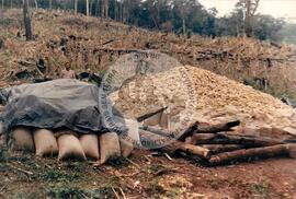 Produção em assentamento (Santa Catarina, dez. 1996) [fotografia] / Fotógrafo(a) : Dirceu P. Vieira. -- Ref.: BR-SPMST_MST-SN-CIN_AMP_001973-015141-PDU.