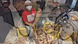 [Título n/d] : lote nº 002, pasta nº 001351, doc. nº 000171 [imagem] / Fotógrafo(a) : [autoria n/d].