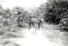 Província de Bengo (Angola, [sem data]) [fotografia] / Fotógrafo(a) : Arquivo MST. -- Ref.: BR-SPMST_MST-SN-CIN_AMP_001098-009001-RIT.