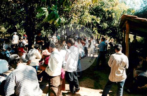 Original Document numérique not accessible