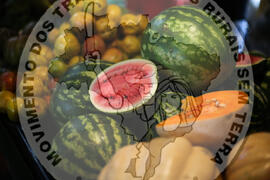 [Título n/d] : lote nº 002, pasta nº 001319, doc. nº 000007 [imagem] / Fotógrafo(a) : [autoria n/d].