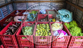 [Título n/d] : lote nº 002, pasta nº 001351, doc. nº 000038 [imagem] / Fotógrafo(a) : [autoria n/d].