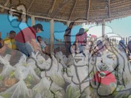 [Título n/d] : lote nº 002, pasta nº 001351, doc. nº 000479 [imagem] / Fotógrafo(a) : [autoria n/d].