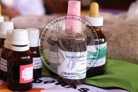 [Título n/d] : lote nº 002, pasta nº 001316, doc. nº 000114 [imagem] / Fotógrafo(a) : [autoria n/d].