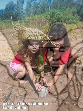 [Título n/d] : lote nº 002, pasta nº 001319, doc. nº 000152 [imagem] / Fotógrafo(a) : [autoria n/d].