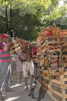 [Título n/d] : lote nº 002, pasta nº 001319, doc. nº 000082 [imagem] / Fotógrafo(a) : [autoria n/d].