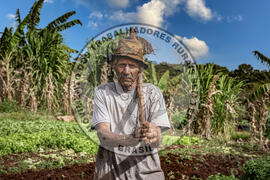 [Título n/d] : lote nº 002, pasta nº 001317, doc. nº 000084 [imagem] / Fotógrafo(a) : [autoria n/d].