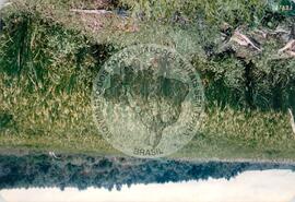 Produção no assentamento (Espírito Santo, fev. 1988) [fotografia] / Fotógrafo(a) : [sem autoria]. -- Ref.: BR-SPMST_MST-SN-CIN_AMP_001971-015114-PDU.