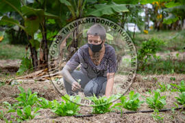 [Título n/d] : lote nº 002, pasta nº 001317, doc. nº 000039 [imagem] / Fotógrafo(a) : [autoria n/d].