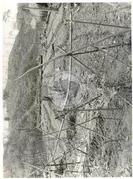 Despejo Fazenda Corumbatá (Chapizinho-PR, 1987) [fotografia] / Fotógrafo(a) : Arquivo MST. -- Ref.: BR-SPMST_MST-SN-CIN_AMP_001755-012862-VPP.