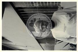 Jacob Gorender (Brasil, [sem data]) [fotografia] / Fotógrafo(a) : Arquivo JST. -- Ref.: BR-SPMST_MST-SN-CIN_AMP_001563-012091-PER.