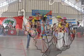 [Título n/d] : lote nº 002, pasta nº 001311, doc. nº 001499 [imagem] / Fotógrafo(a) : [autoria n/d].