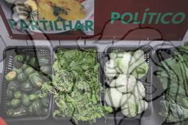 [Título n/d] : lote nº 002, pasta nº 001351, doc. nº 000230 [imagem] / Fotógrafo(a) : [autoria n/d].