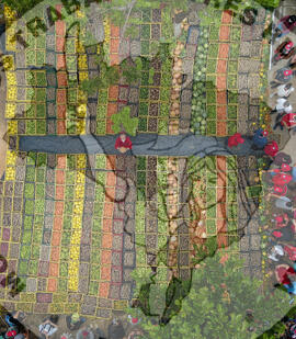 [Título n/d] : lote nº 002, pasta nº 001351, doc. nº 000494 [imagem] / Fotógrafo(a) : [autoria n/d].