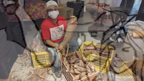 Original Objeto digital not accessible