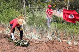 [Título n/d] : lote nº 002, pasta nº 000014, doc. nº 000212 [imagem] / Fotógrafo(a) : [autoria n/d].