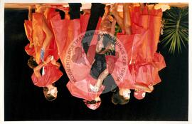 Semana Nacional de Cultura Brasileira e Reforma Agrária (Rio de Janeiro-RJ, 18 mar. 2002) [fotografia] / Fotógrafo(a) : João Laet. -- Ref.: BR-SPMST_MST-SN-CIN_AMP_001810-013054-NDT.