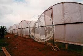 4 anos de COPAJOTA (Promissão-SP, 11 mai. 1996) [fotografia] / Fotógrafo(a) : Mário de Freitas. -- Ref.: BR-SPMST_MST-SN-CIN_AMP_000754-004924-CSS.