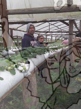 [Título n/d] : lote nº 002, pasta nº 000033, doc. nº 000019 [imagem] / Fotógrafo(a) : [autoria n/d].