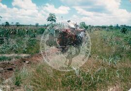 Assentamento do MST [sem identificação] (Nova Venécia-ES, [sem data]) [fotografia] / Fotógrafo(a) : Arquivo MST. -- Ref.: BR-SPMST_MST-SN-CIN_AMP_000330-001593-ASS.