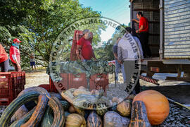 [Título n/d] : lote nº 002, pasta nº 001344, doc. nº 000034 [imagem] / Fotógrafo(a) : [autoria n/d].