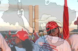 [Título n/d] : lote nº 002, pasta nº 000043, doc. nº 000024 [imagem] / Fotógrafo(a) : [autoria n/d].