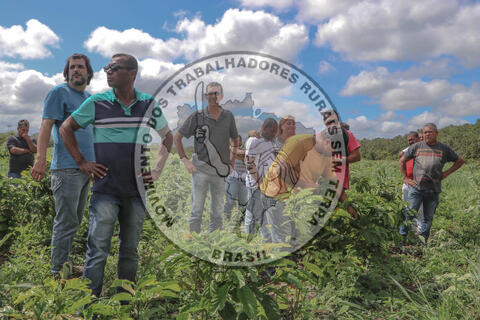 Original Objeto digital not accessible