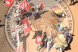 [Título n/d] : lote nº 002, pasta nº 000044, doc. nº 000339 [imagem] / Fotógrafo(a) : [autoria n/d].